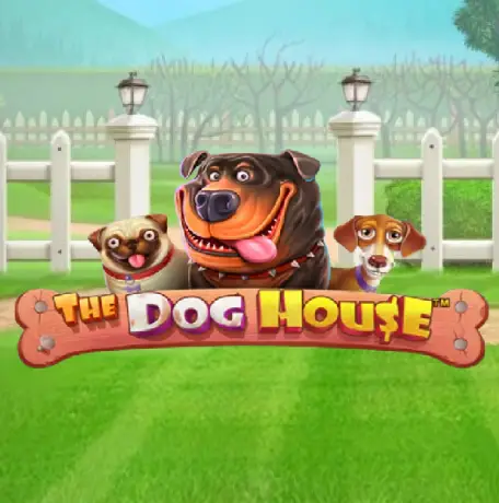 Dog House